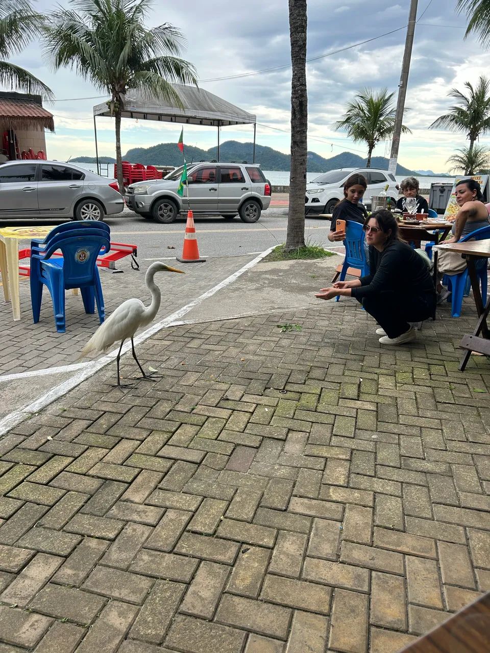Restaurante na praia - Foto 2