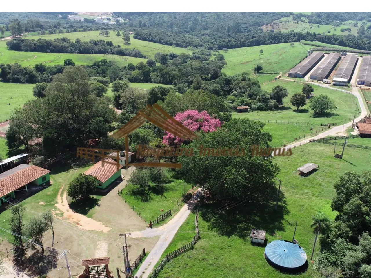 Sítio com galpões de granja, 85 mil aves, área com 20,8 alqueires