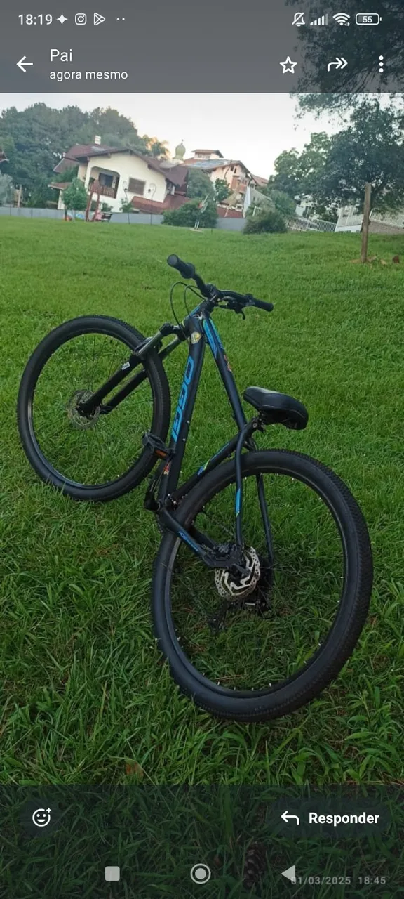 Vendo Oggi tamanho 17 Obs:vem com guidão absolute e prox