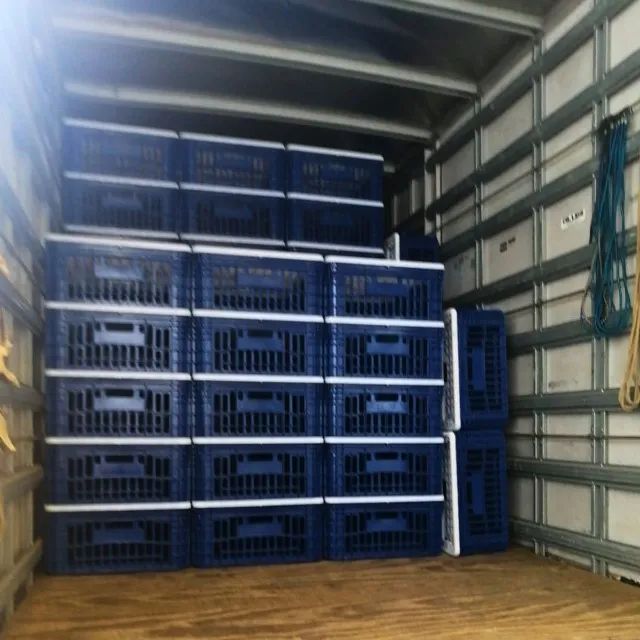 170 Gaiolas Para Transporte De Frango Vivo - Novas - Foto 5