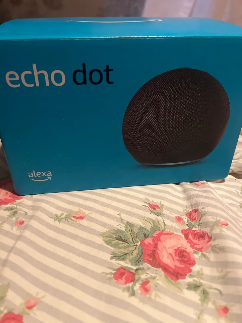Alexa echo dot 
