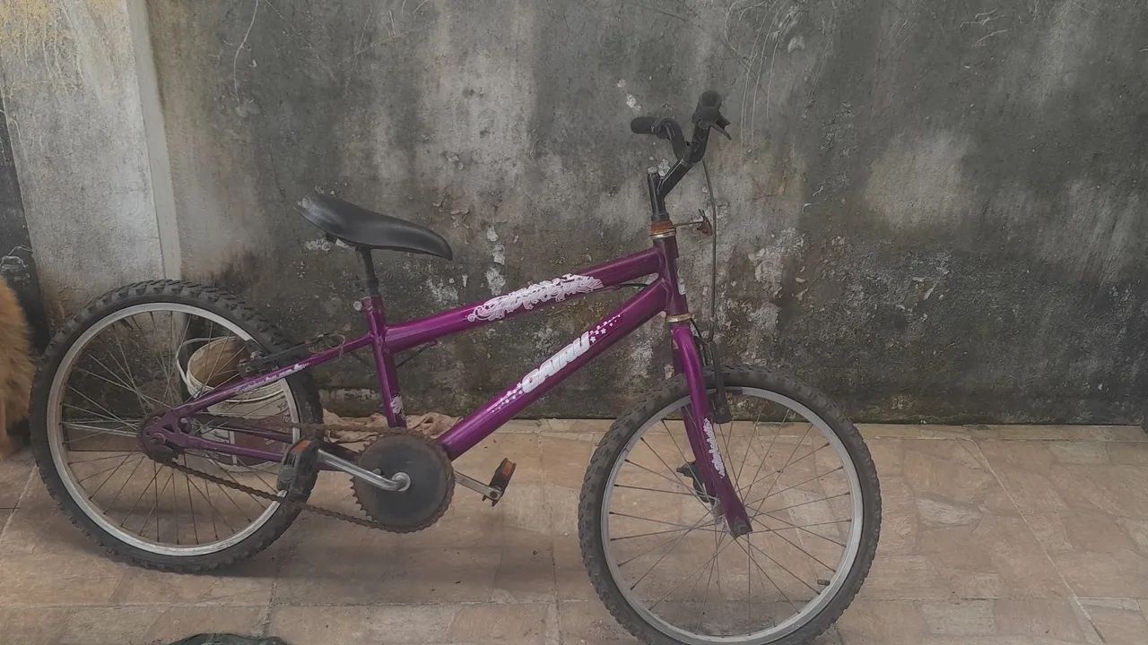 Bicicleta infantil aro 20
