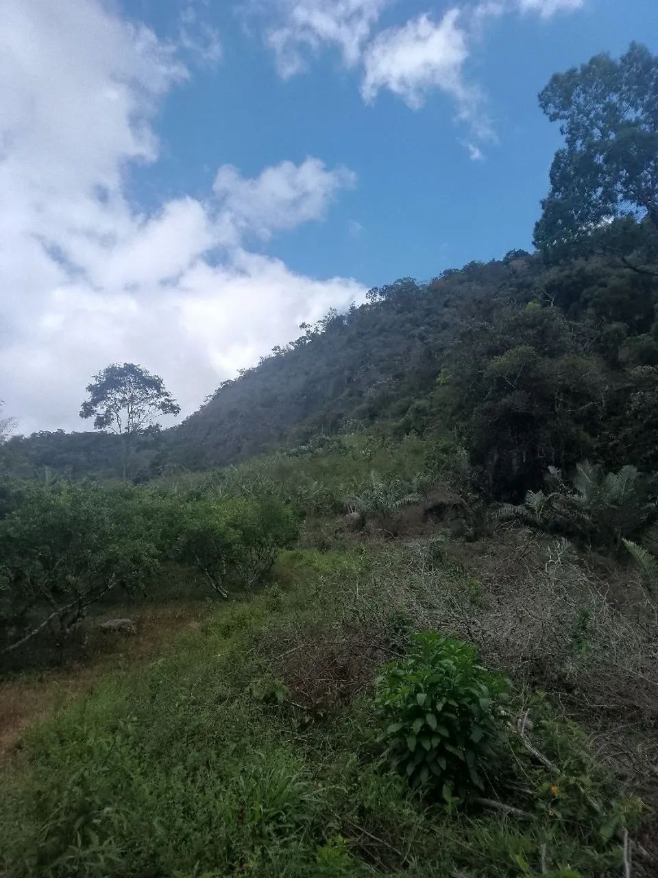 Vende-se  - Foto 4