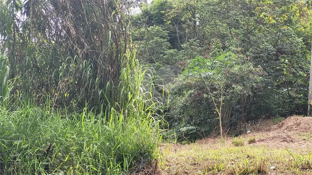 Terreno à venda em Barreiro - SP - Foto 3