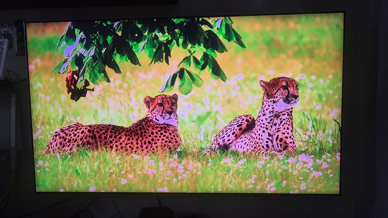 TV SAMSUNG QLED 55  - Foto 3
