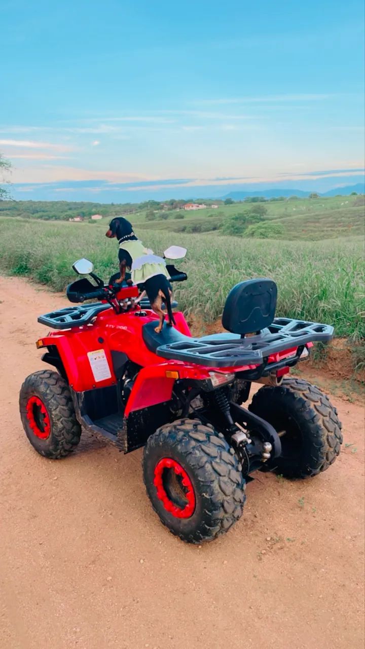 Quadriciclo ATV 200cc  - Foto 5