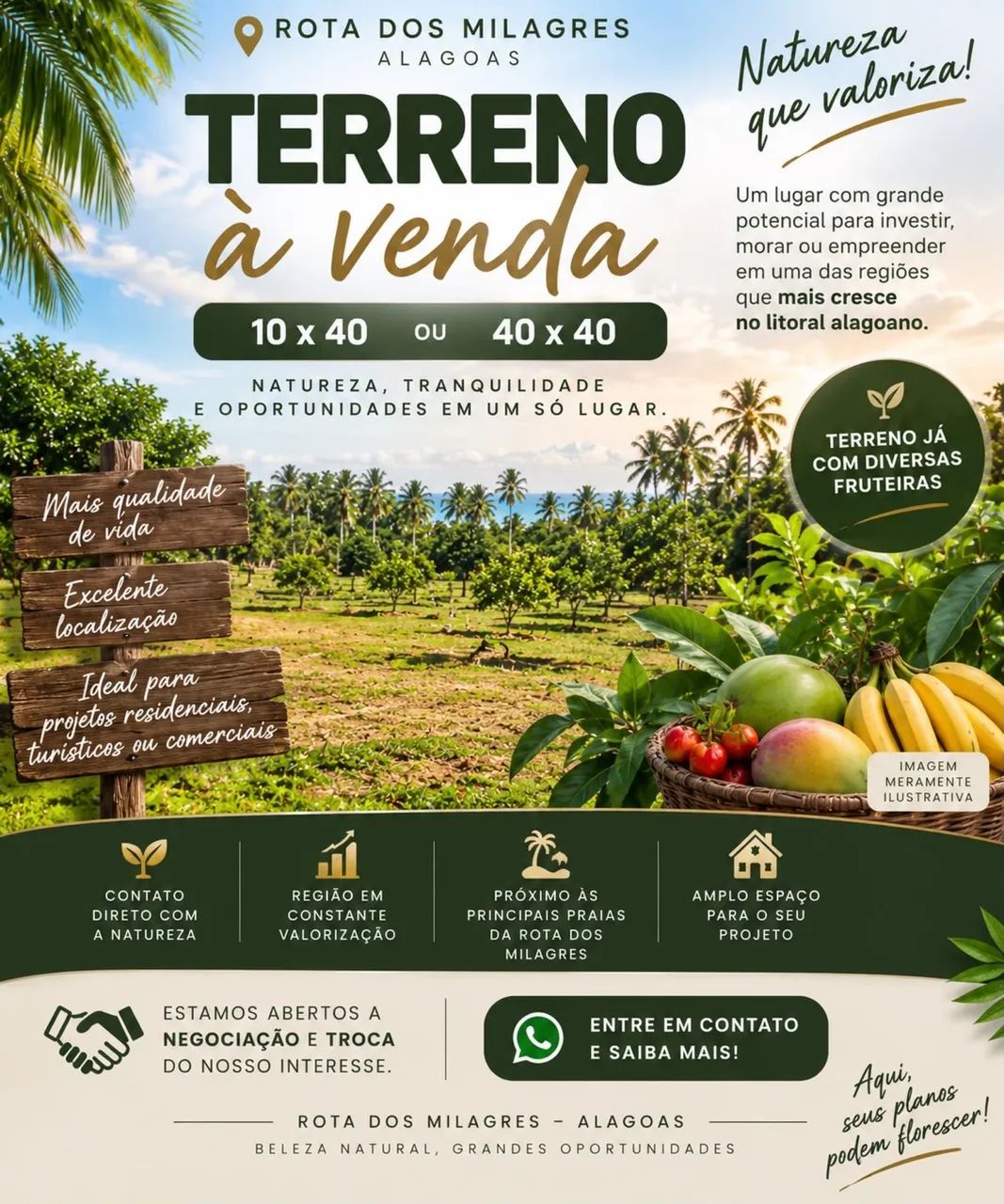 Terreno 