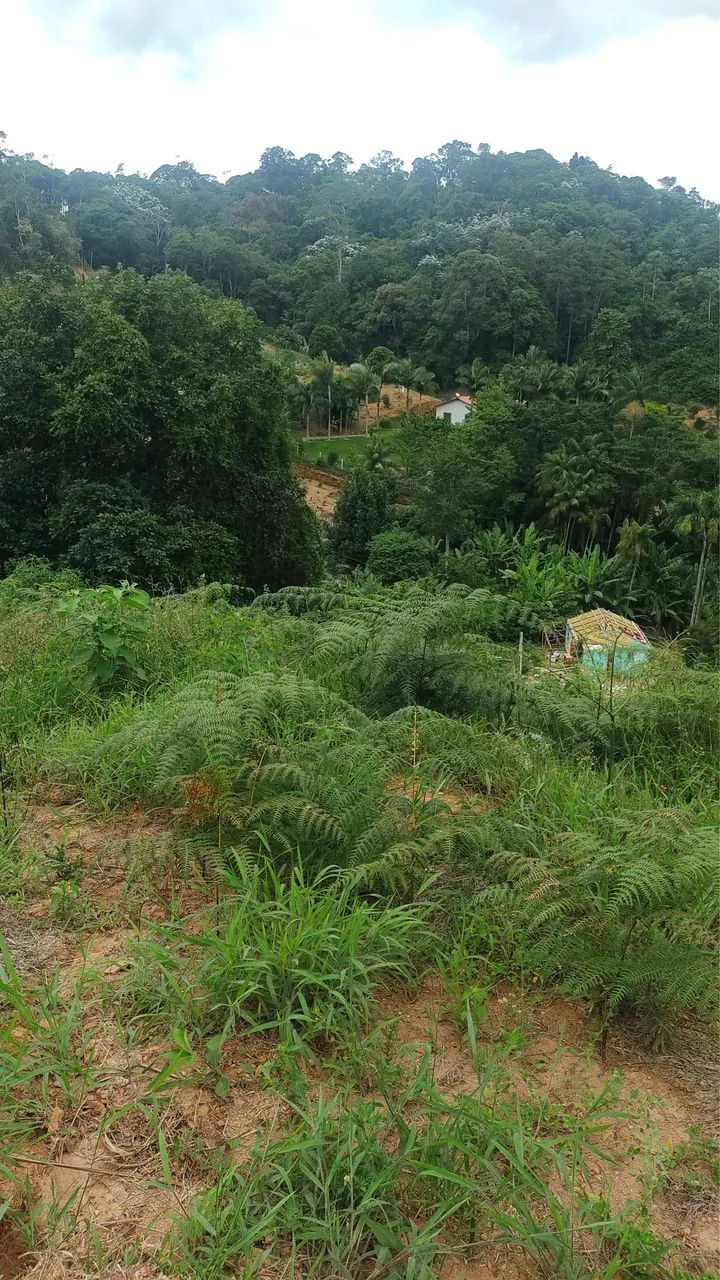 Foto - Serra - Carapina Grande