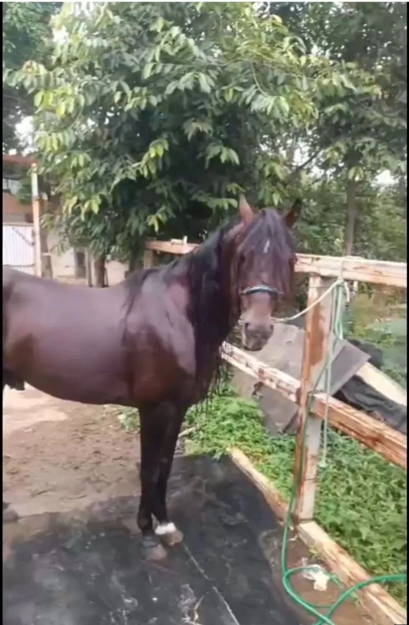 Vendo ou troco  - Foto 5