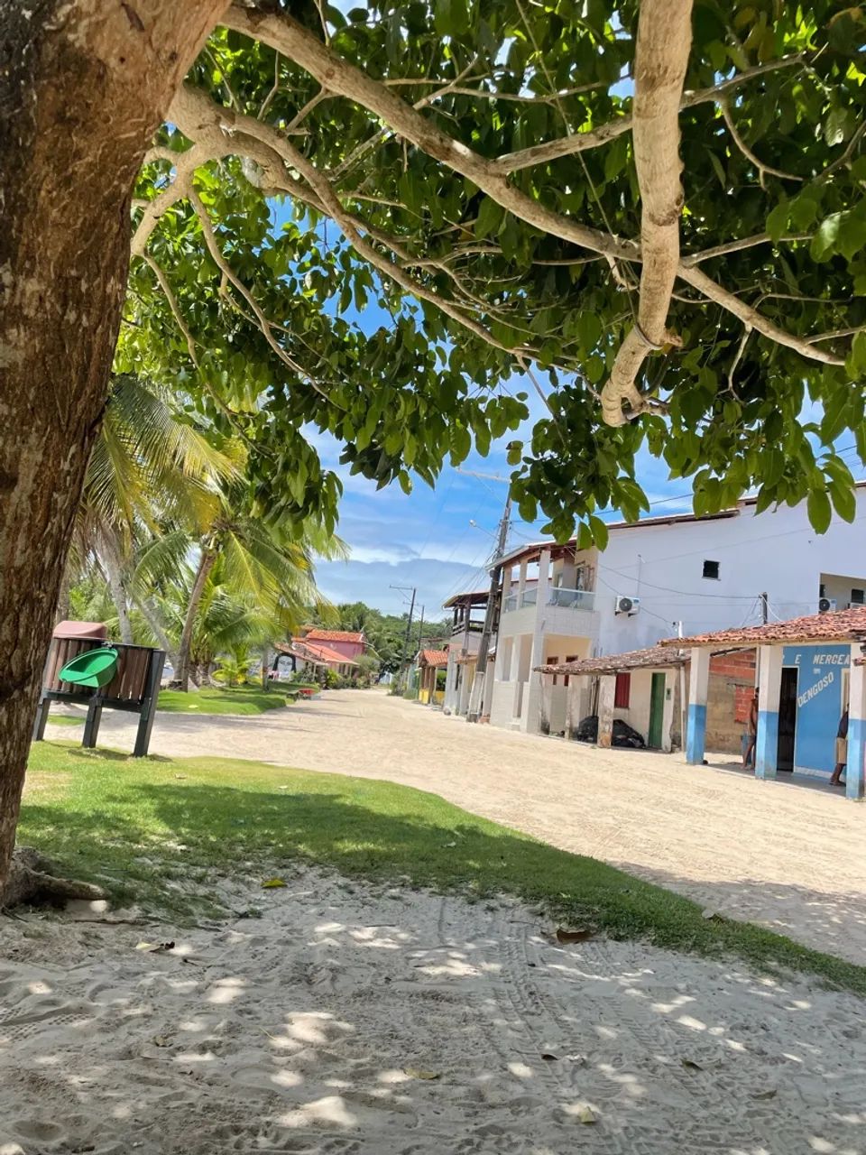 Terreno  - Foto 2