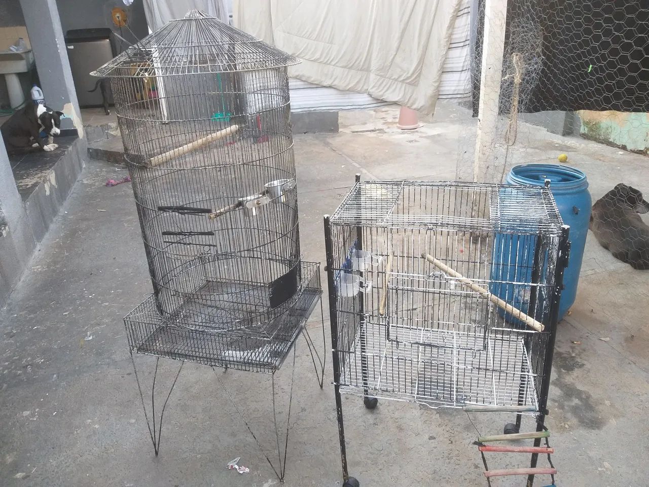 Vende-se Gaiolas