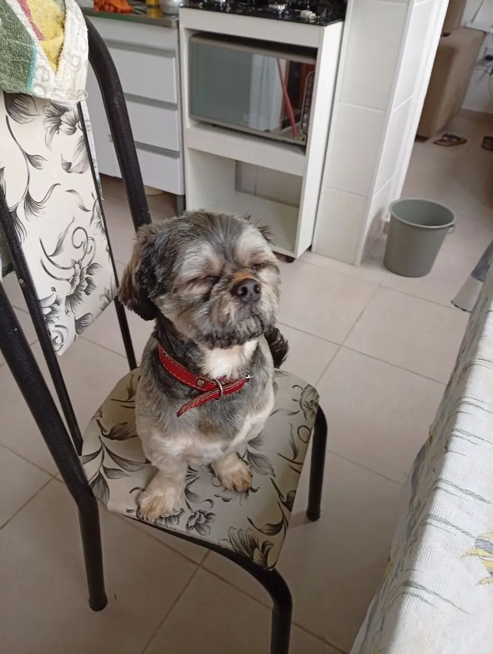 Doação  - Foto 2