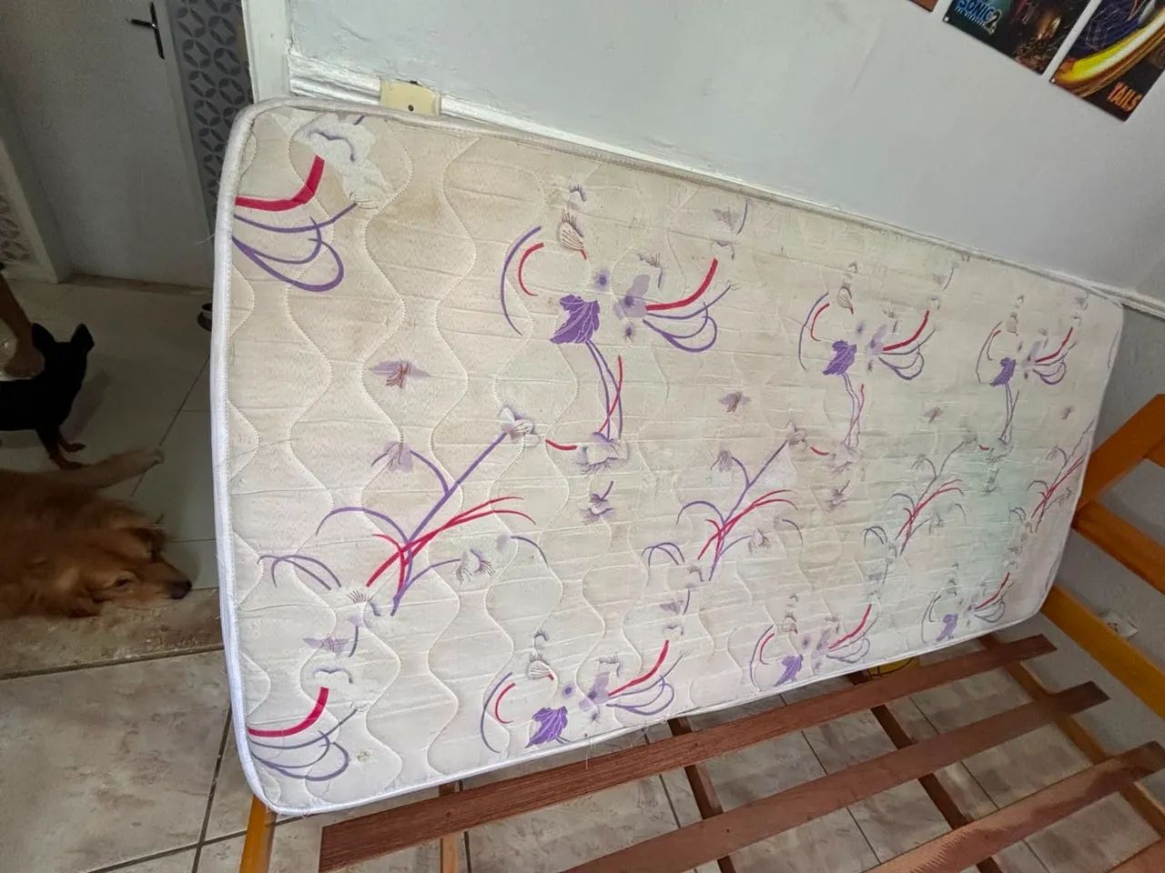 Cama de madeira 