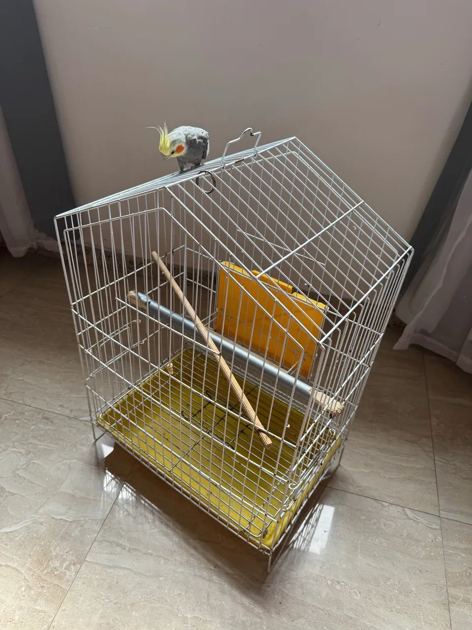 Gaiola de calopsita  - Foto 2