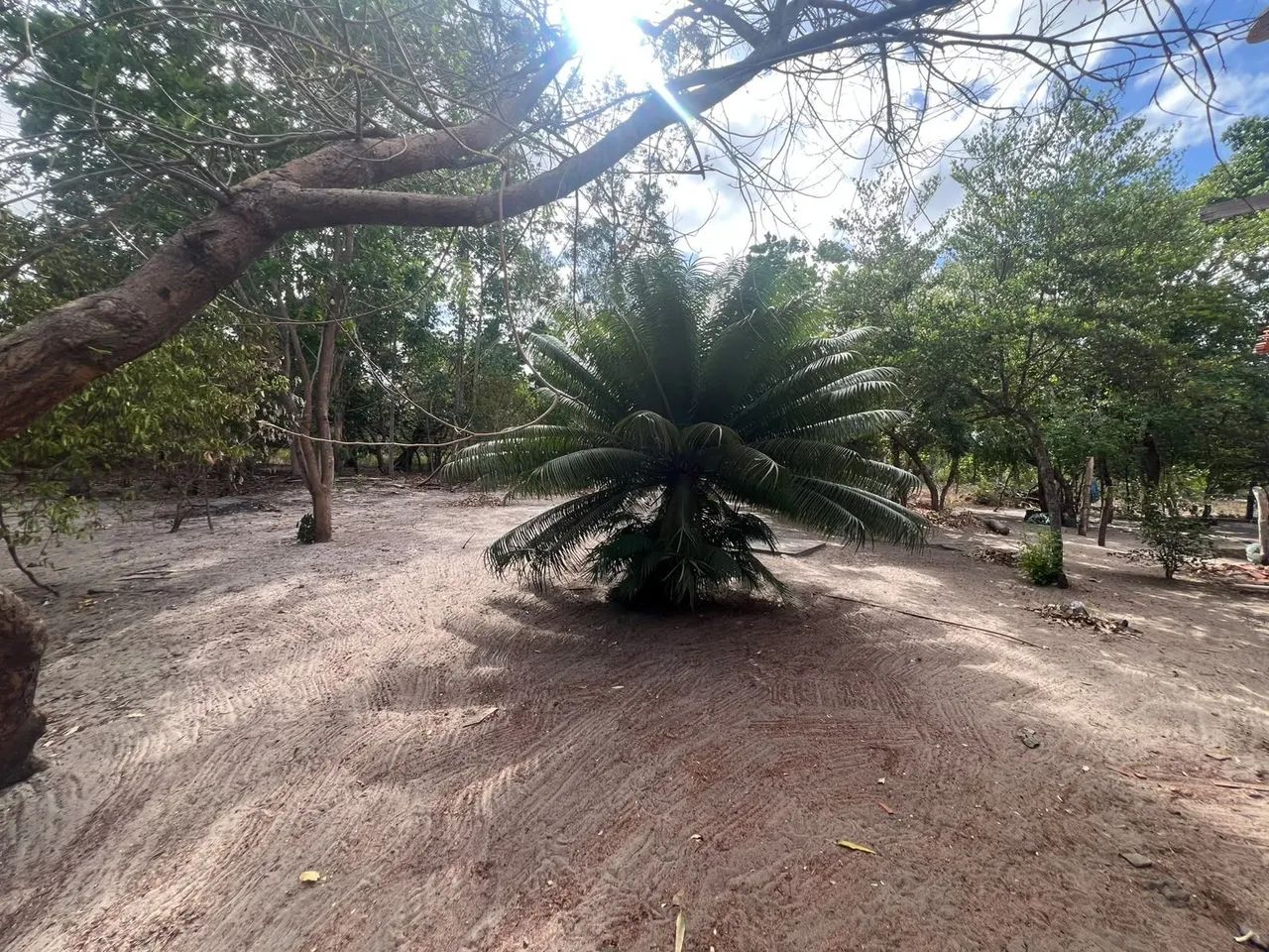 Vendo sitio em barreirinhas  - Foto 3