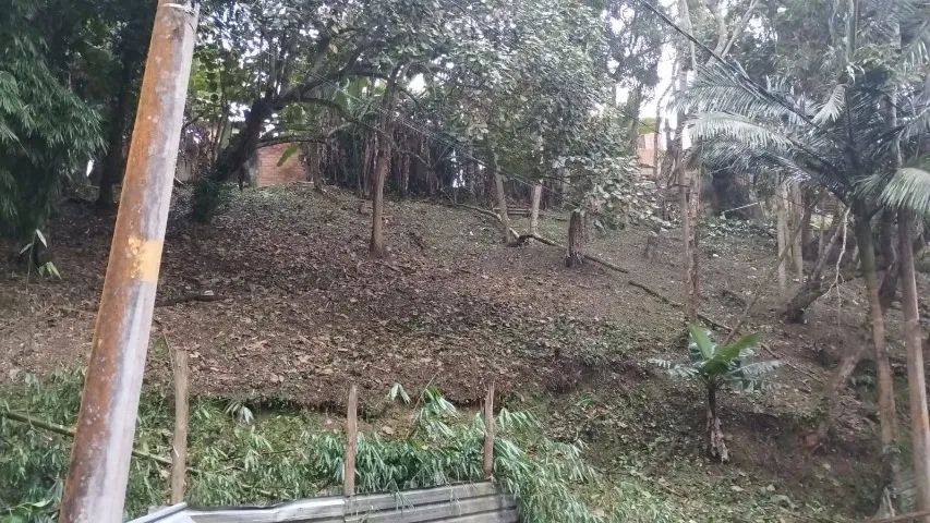 Foto - São Bernardo do Campo - Batistini