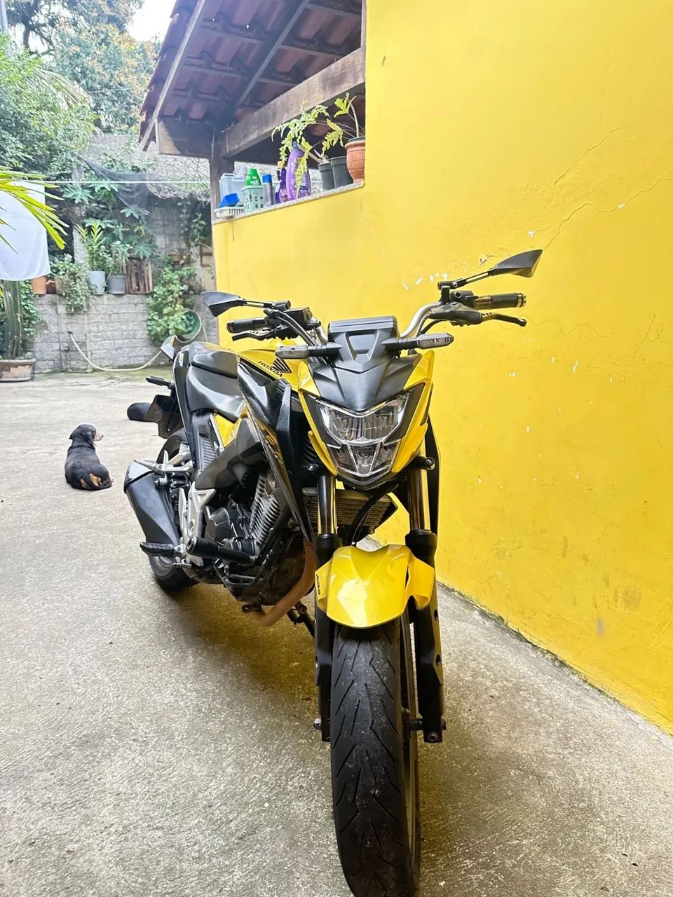 ? HONDA CB 300F À VENDA! - Foto 4