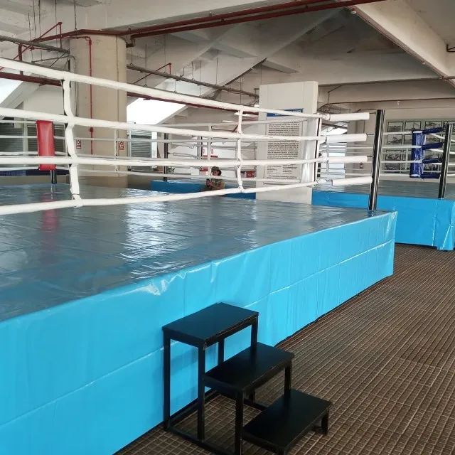 Ringue Profissional Acolchoado Para Artes Marciais