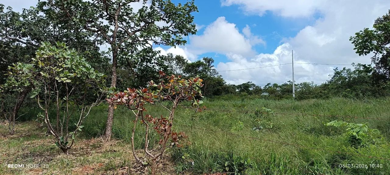 Vendo esse terreno  - Foto 4