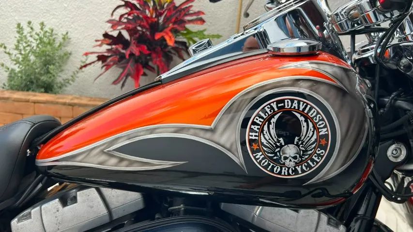 Harley-Davidson Dyna Switchback 2014 - Foto 4