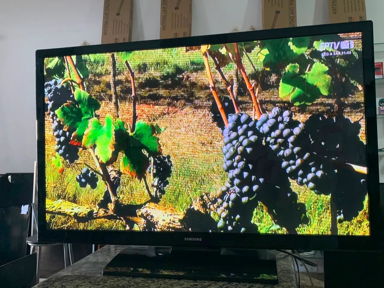 TV Samsung 43 polegadas