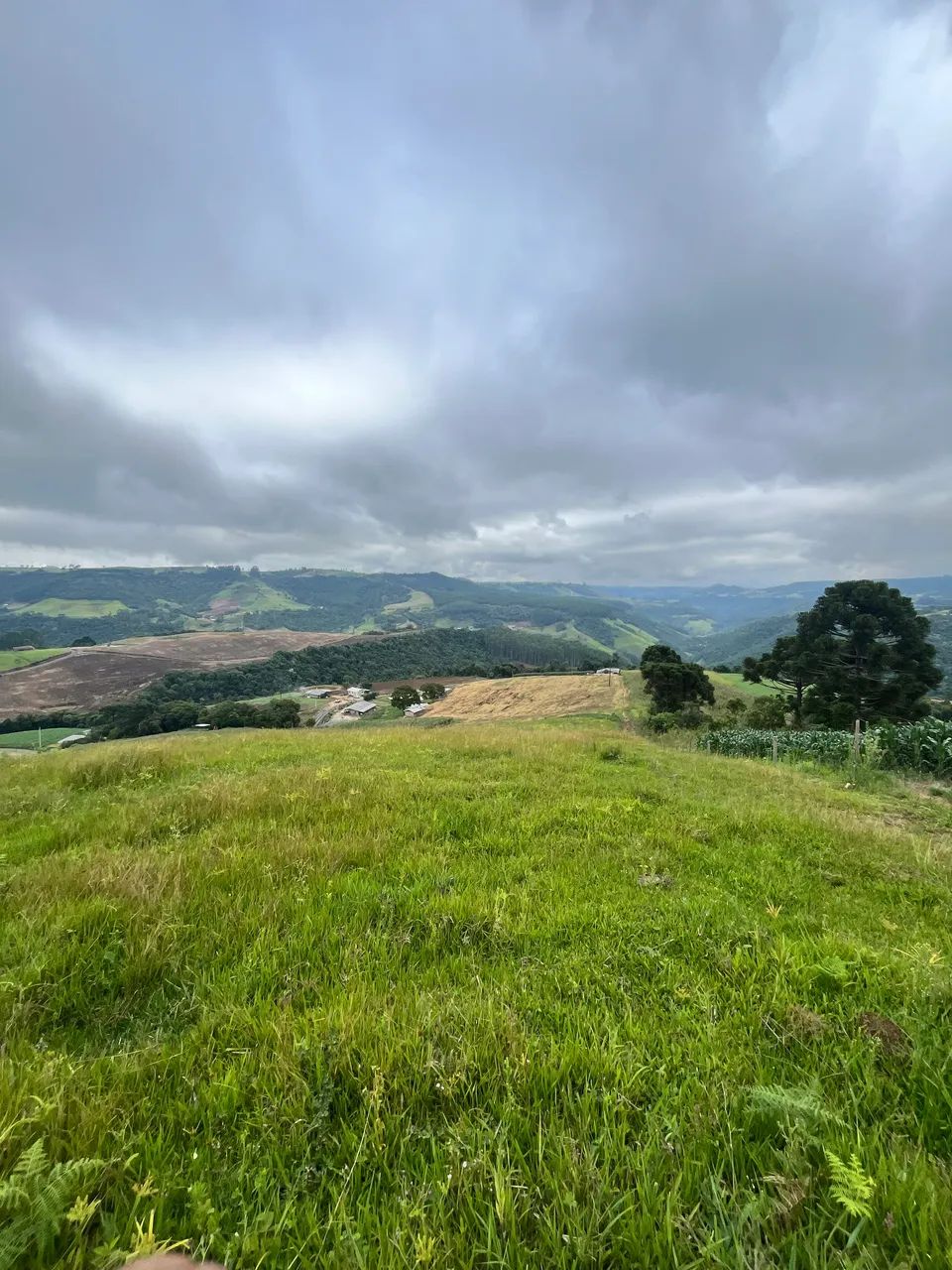 Terreno na serra  - Foto 4