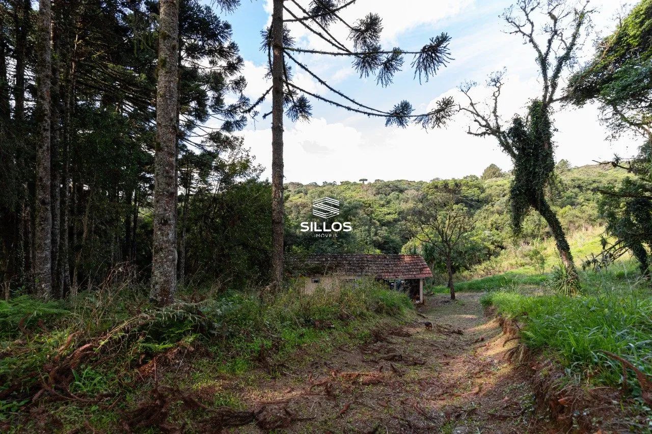Chácara à venda com 80.000m² em Butiatuvinha em Curitiba - Foto 12