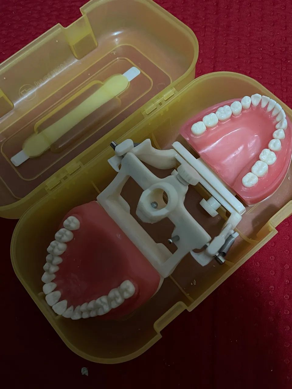 MANEQUIM TOP DENTISTICA PRONEW