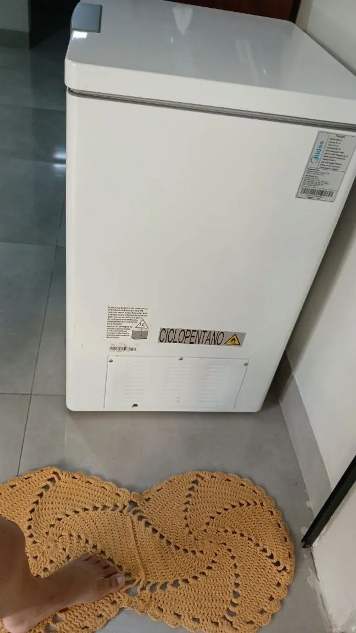 Freezer 150L - Foto 4