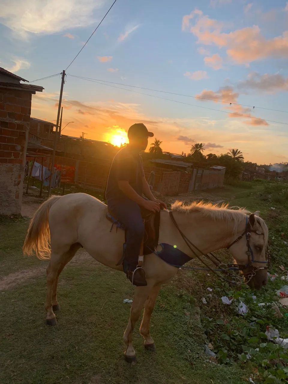 Vendo ou troco cavalo - Foto 2