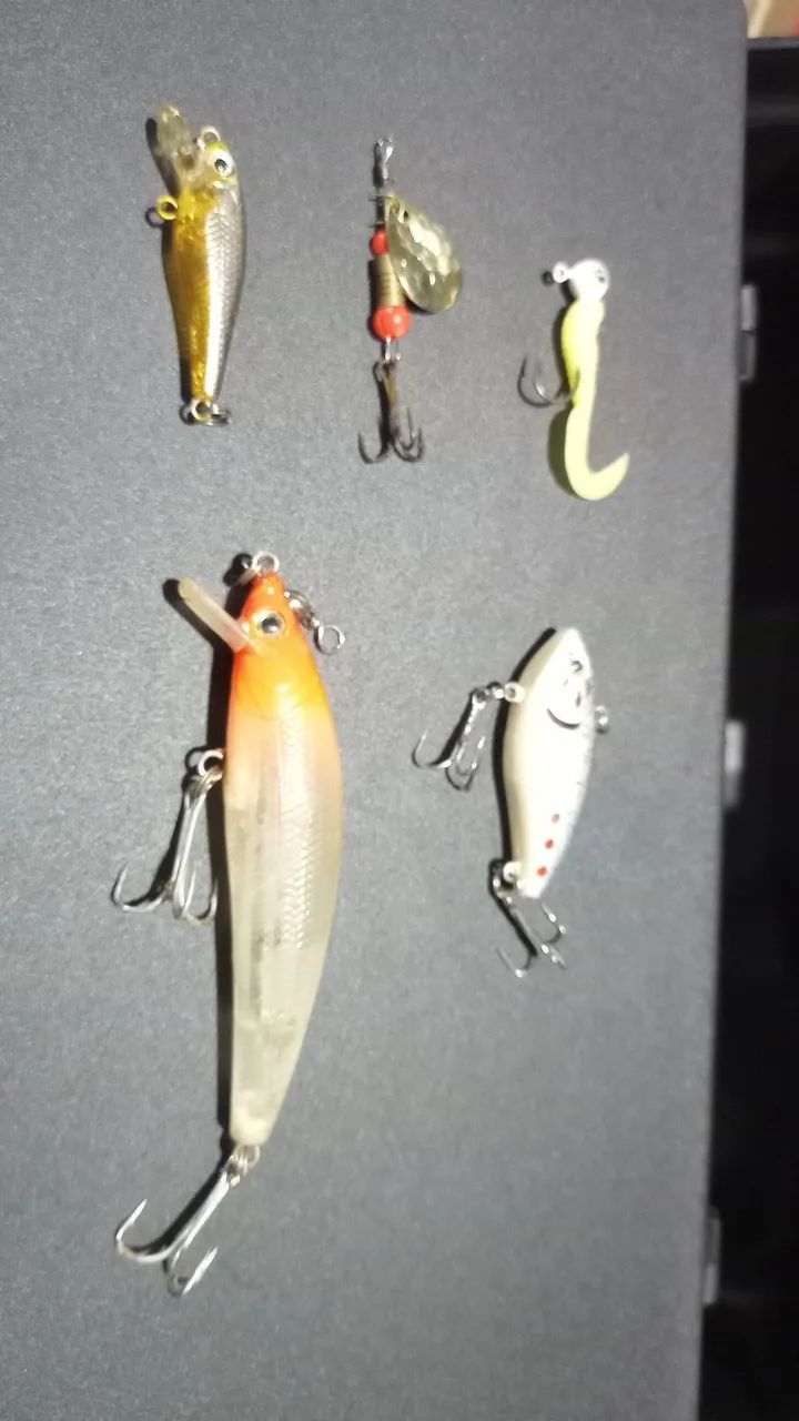 Isca Artificial novas