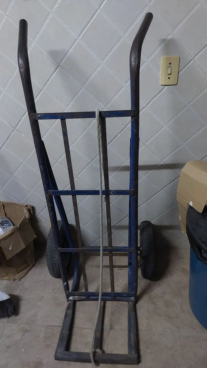 Carrinho de carga 250 kgs - Foto 2