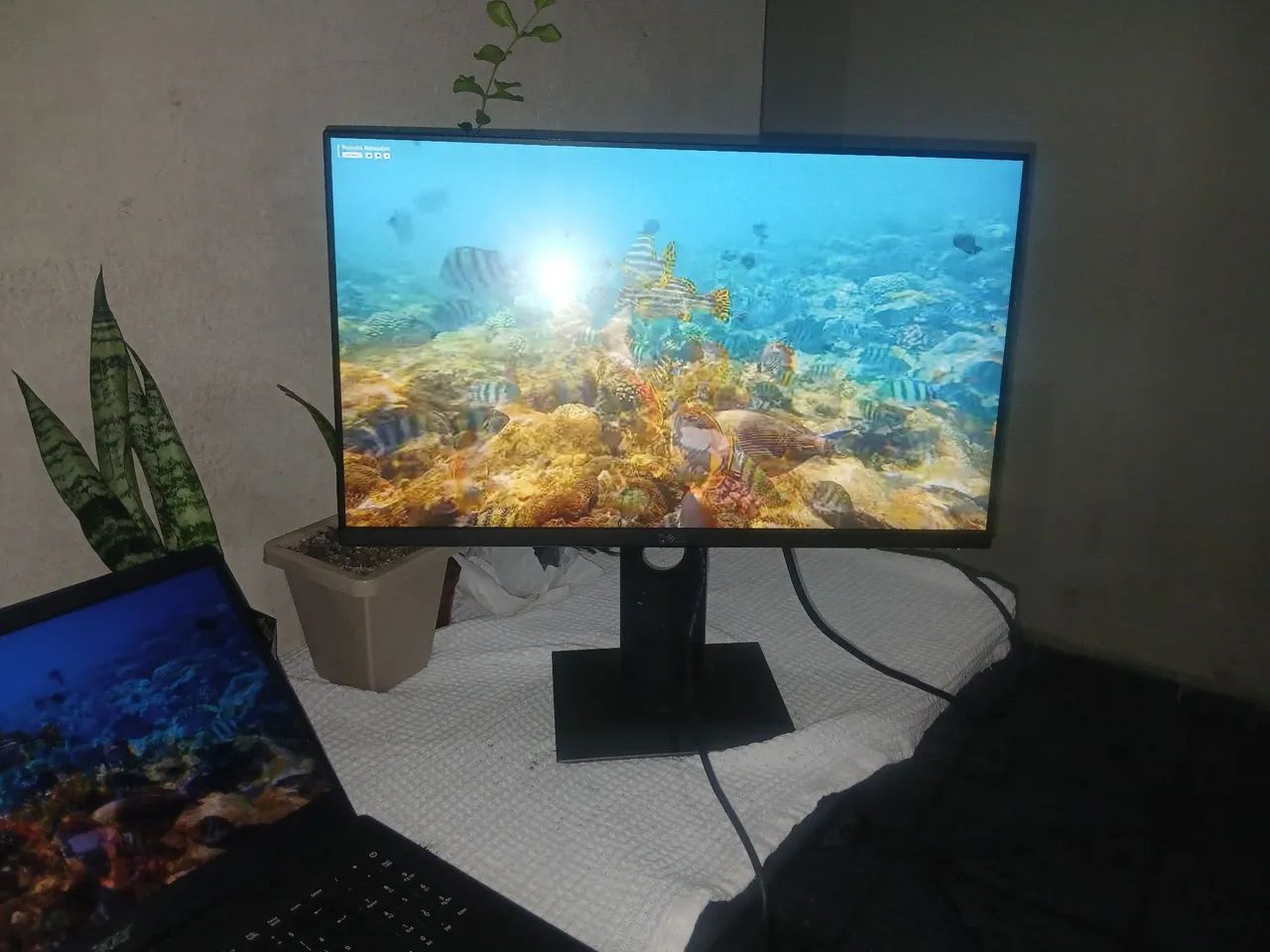 Monitor Dell Profissional P2319h  - Foto 5