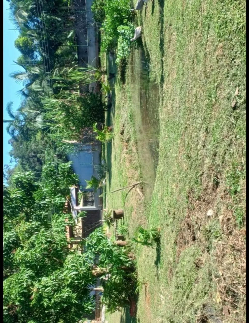 Terreno 1.500m2 - Foto 2