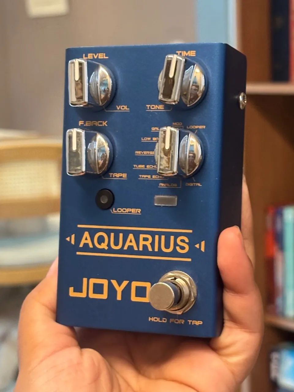 Joyo delay Aquarius 