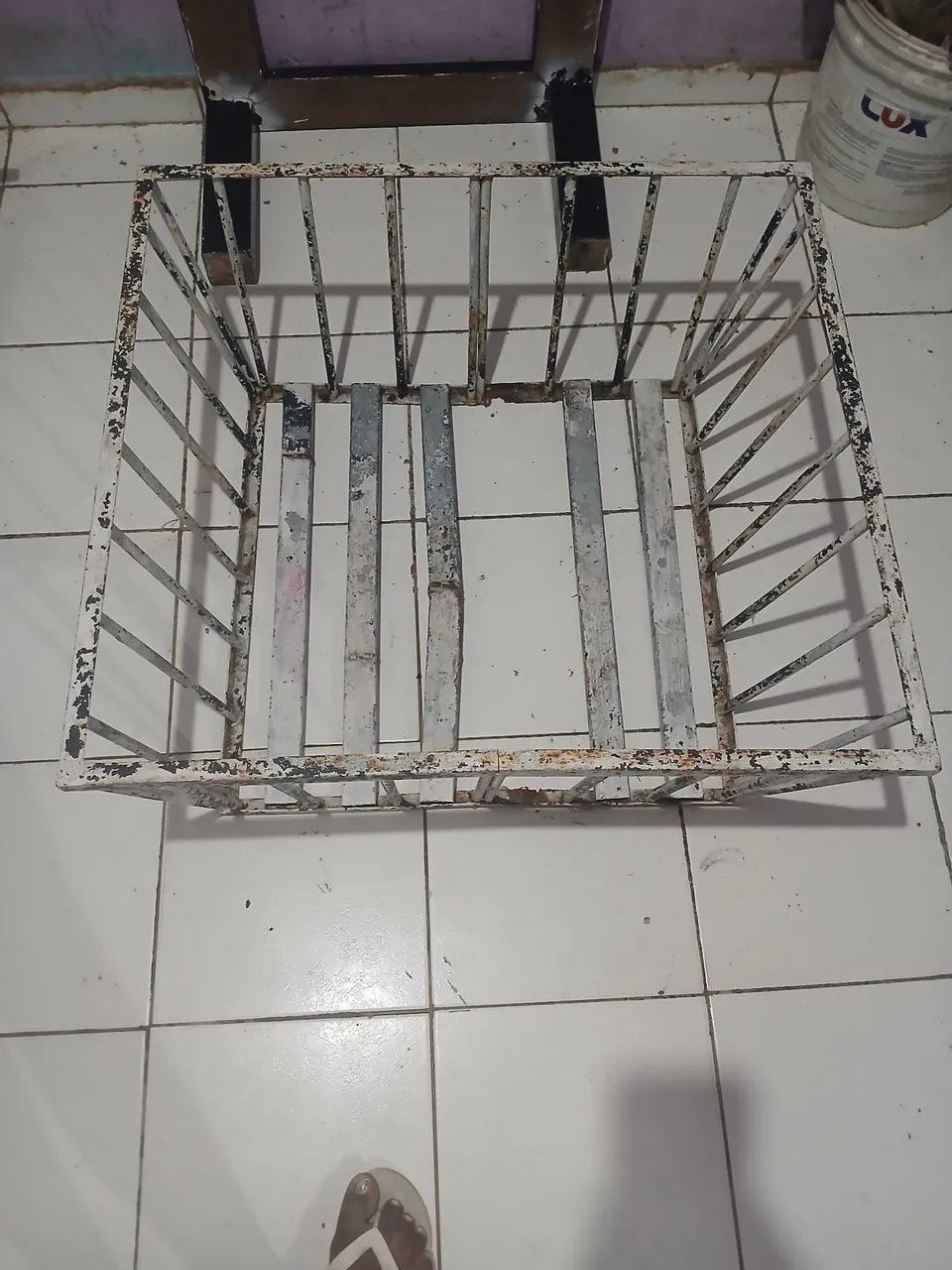 licheira - Foto 2