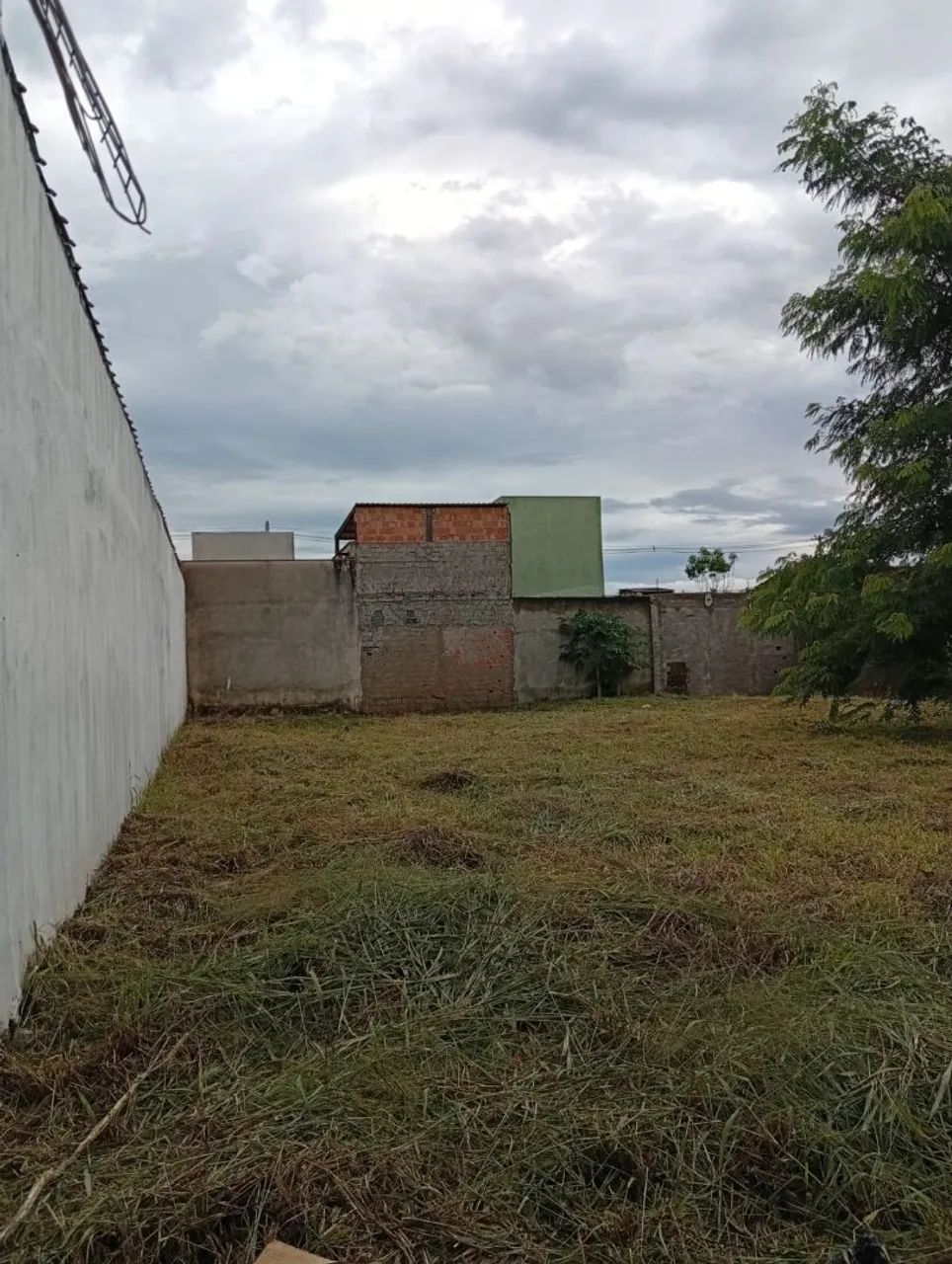 Foto - Ribeirão Preto - Jardim Doutor Paulo Gomes Romeo