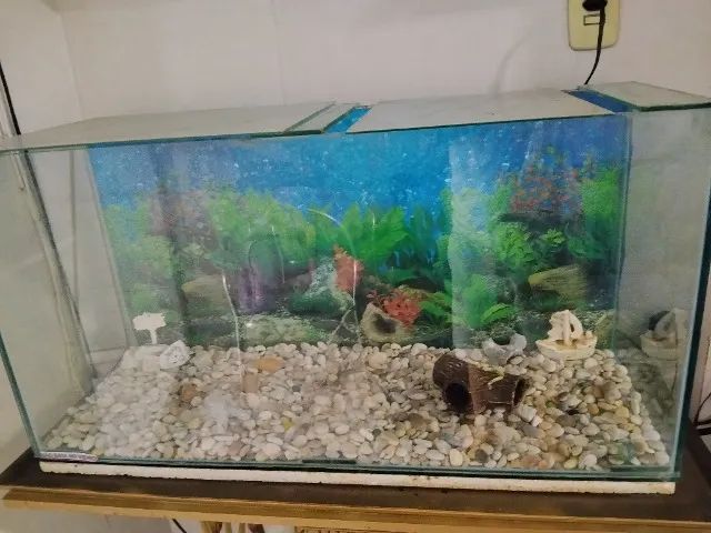 Aquário  - Foto 3