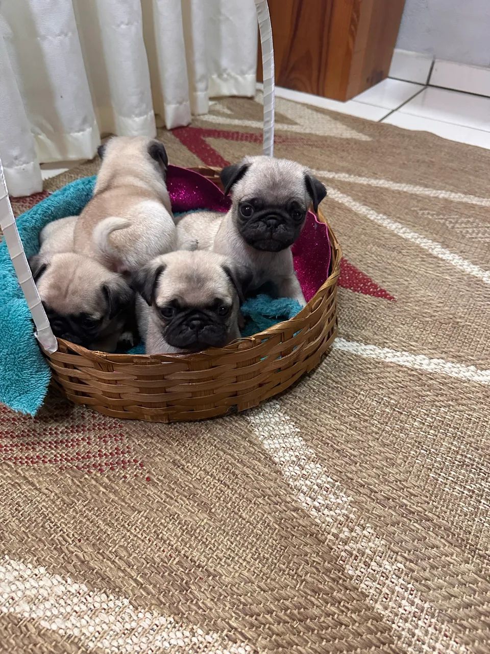 Vendas Pug