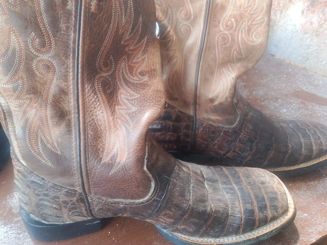 Bota 