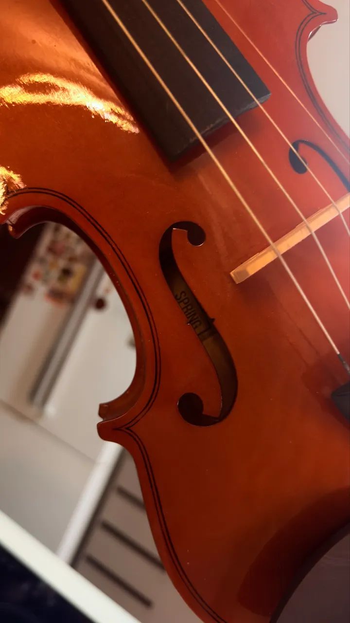 Violino - Foto 2