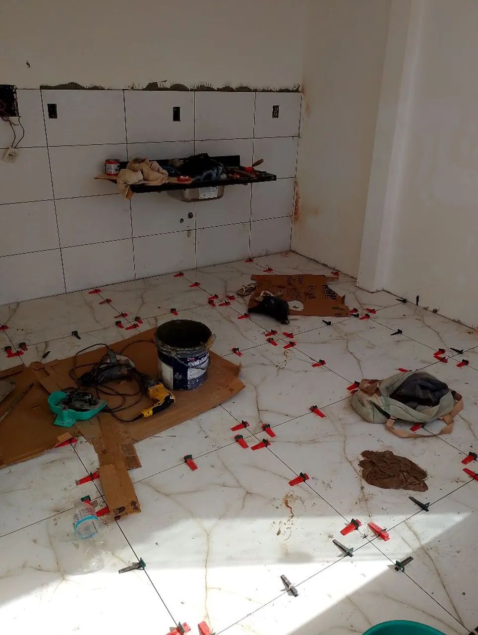 Azulejista  - Foto 4