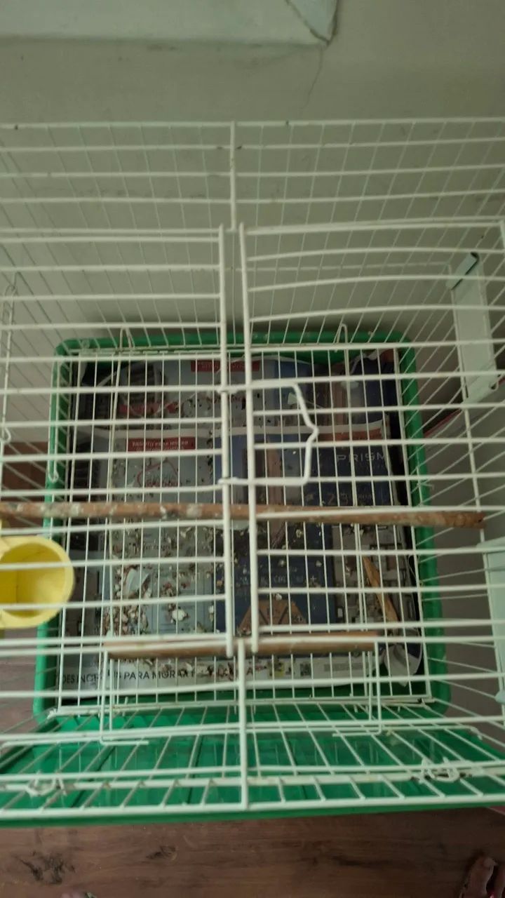 Gaiola para Pássaros Calopsita - Foto 5