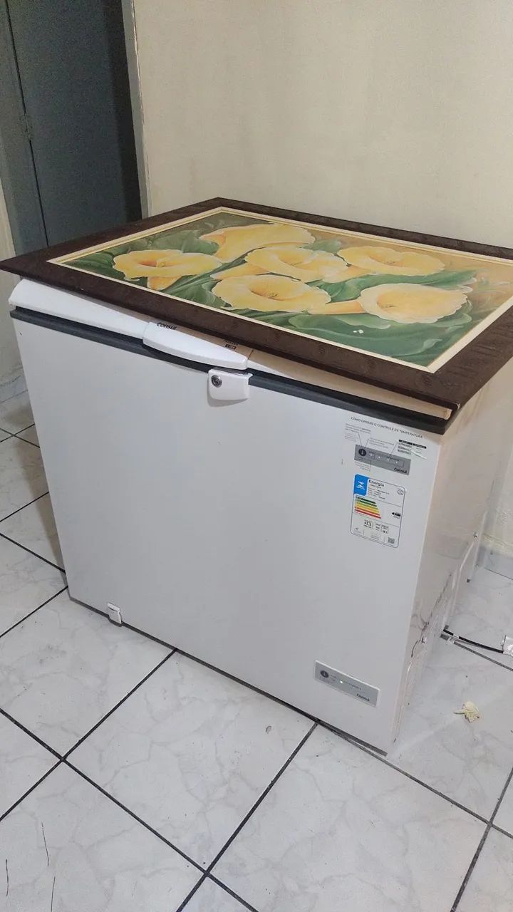 Freezer consul 220v - Foto 2