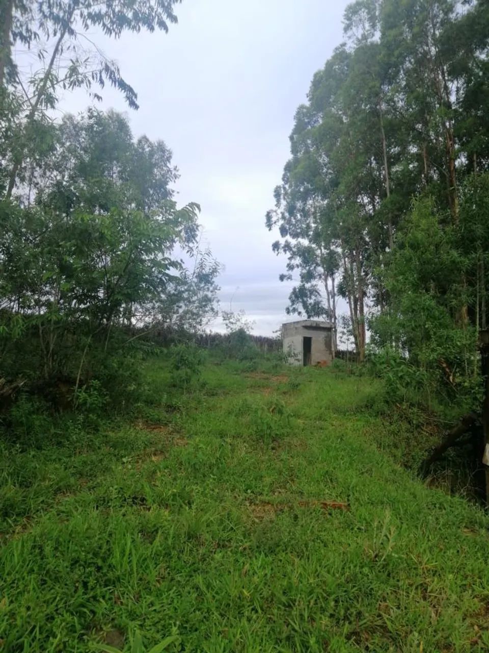 TERRENO CAMARGOS COM GARAGEM E GALPAO - Foto 3