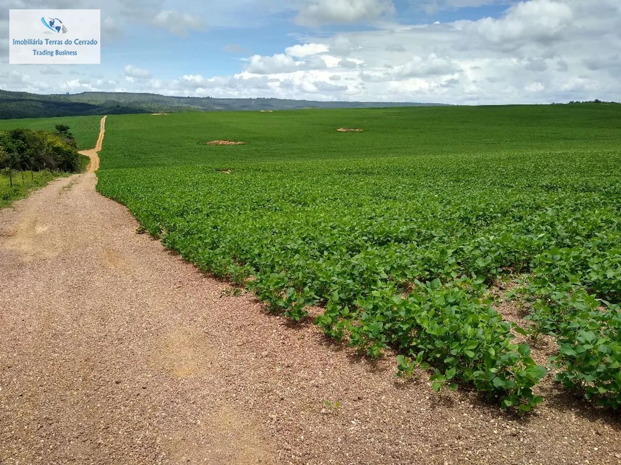 FAZENDA COM 500HA PRA SOJA IRRIGADA JA COM OUTORGA DE ÁGUA - Foto 3