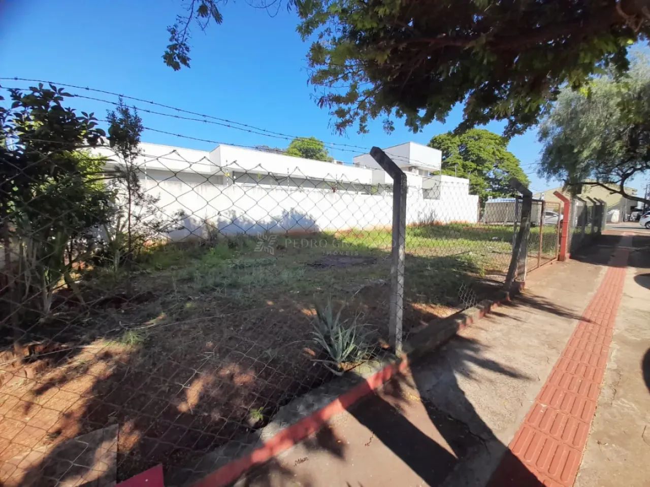 Terreno Comercial - Jardim América - Foto 4