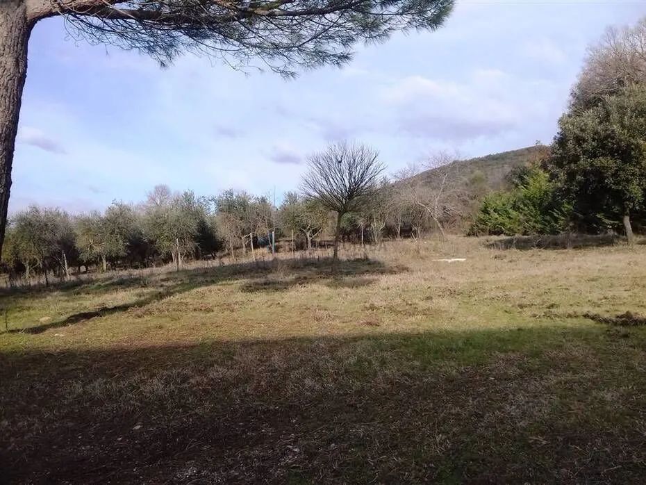 Terreno no Bosque da Saúde - Foto 3