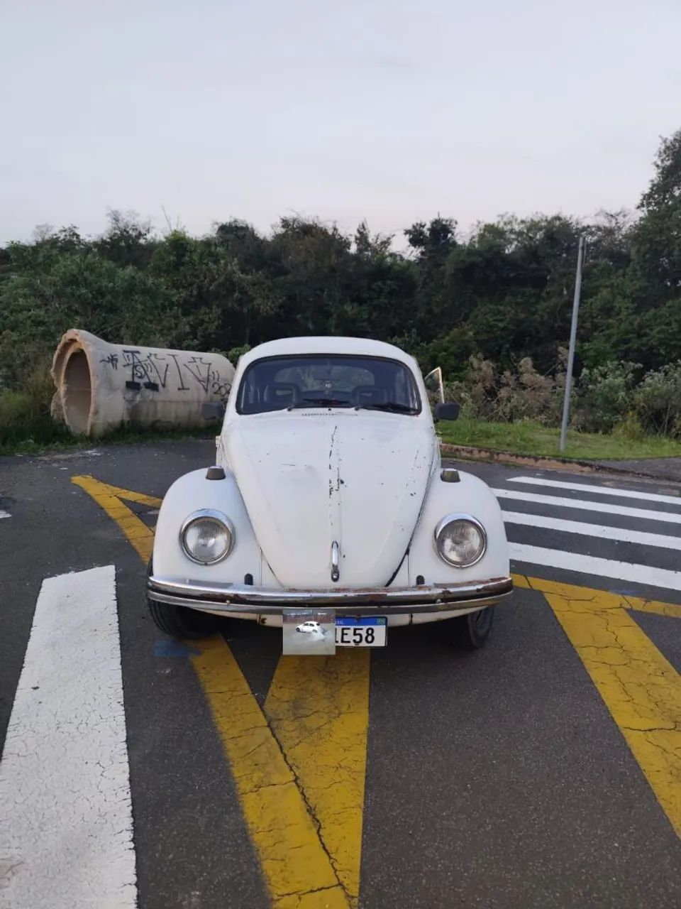 Volkswagen Fusca 1600 1984