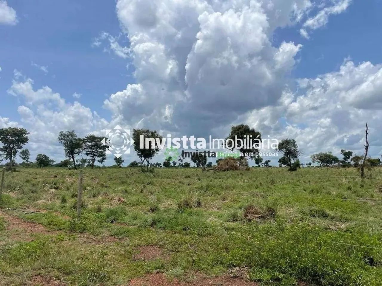 Fazenda de 117 alqueires com topografia plana em Divinópolis - Foto 5